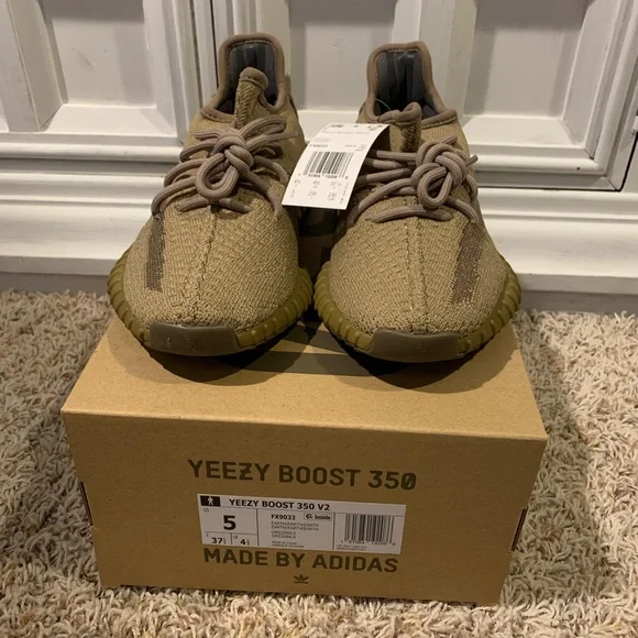 Yeezy boost 350 earth - Picture 1 of 5